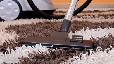 Eliminate Odors and Refresh Your Carpets with Professional Cleaning Services