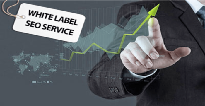 Success Stories of Businesses Using SEO Reseller Services Success Stories of Businesses Using SEO Reseller Services